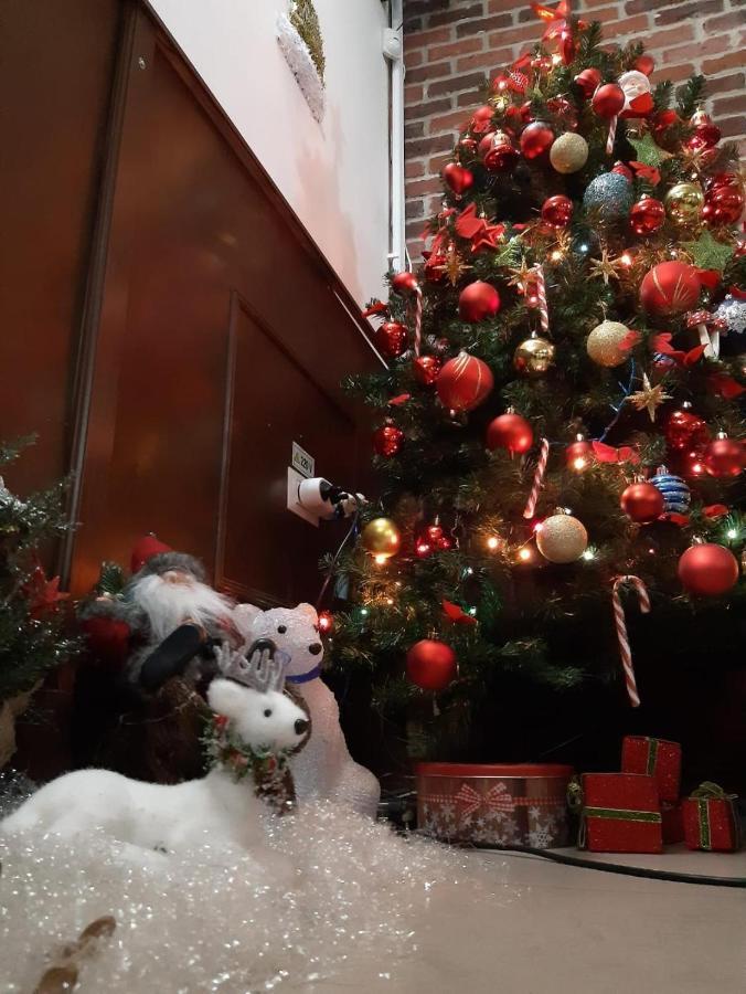 Pensiunea Dodo Patarlagele 外观 照片